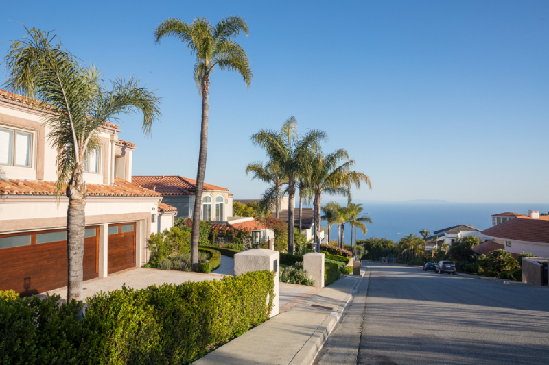 Pacific Palisades street with palm trees and ocean view